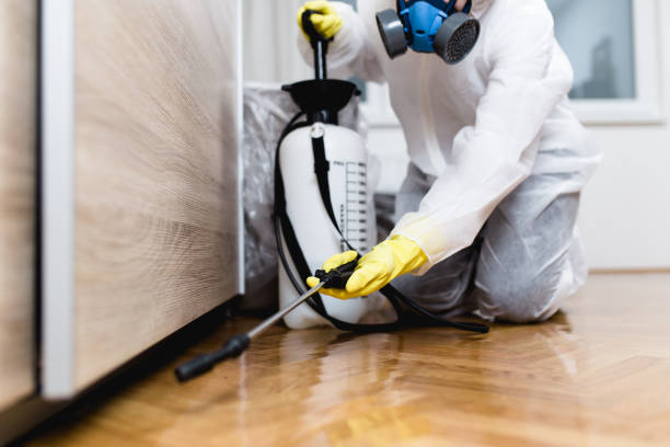 Best Pest Inspection Near Me  in Ramsey, NJ