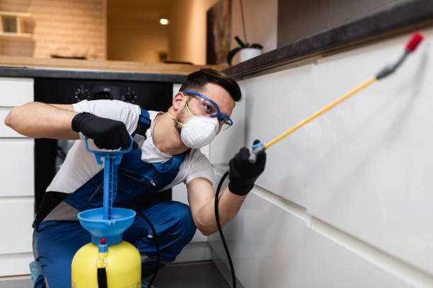 Best Local Pest Control Services  in Ramsey, NJ