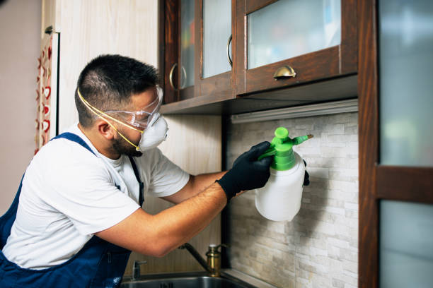 Professional Pest Control in Ramsey, NJ