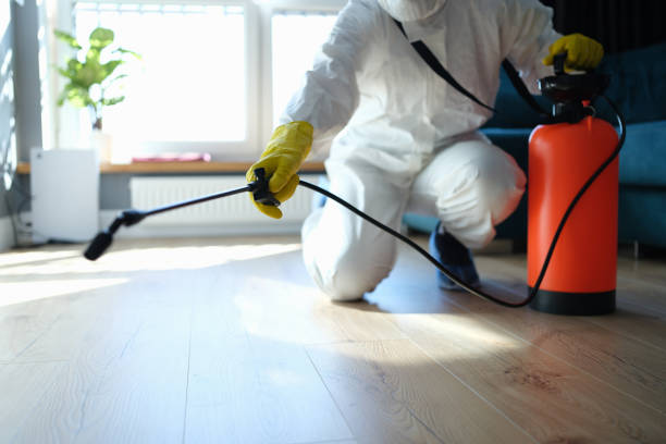 Best Wasp Removal Services  in Ramsey, NJ