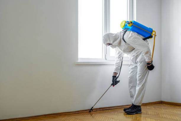 Best Pest Control Treatment  in Ramsey, NJ