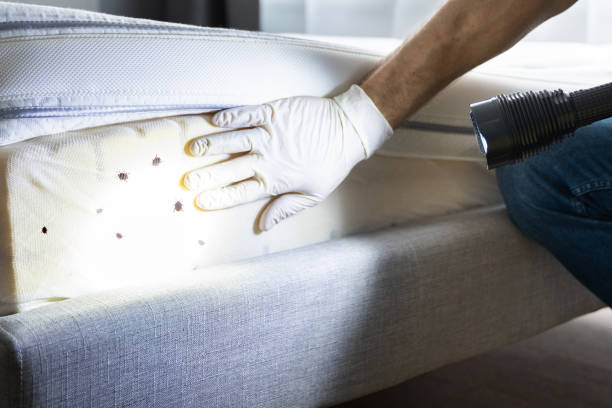 Best Best Pest Control Companies  in Ramsey, NJ