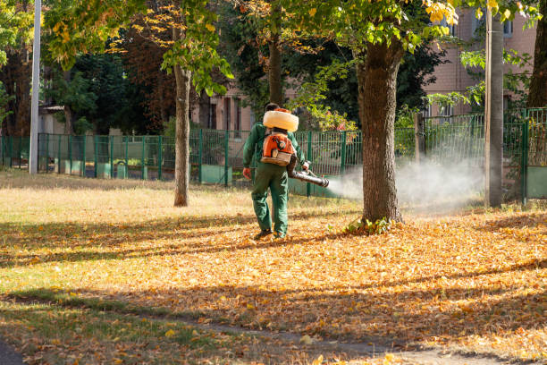 Best Flea Control Services  in Ramsey, NJ