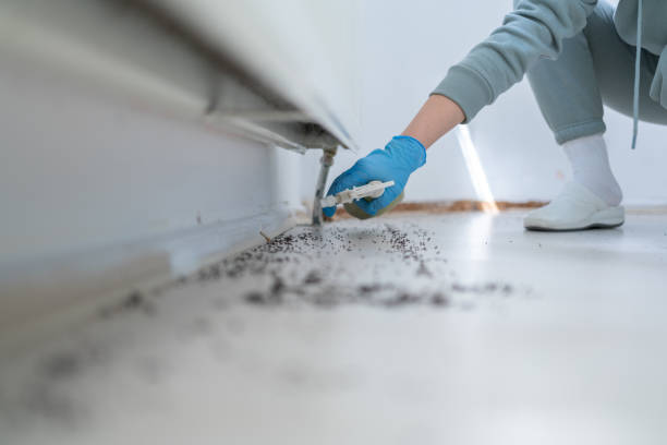 Best Mosquito Control Services  in Ramsey, NJ